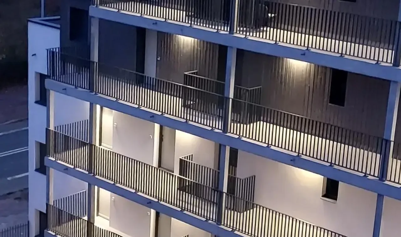 20241115_173744 - recadrée